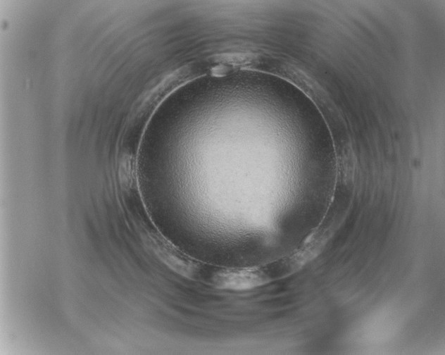 X0000070410093200606091202