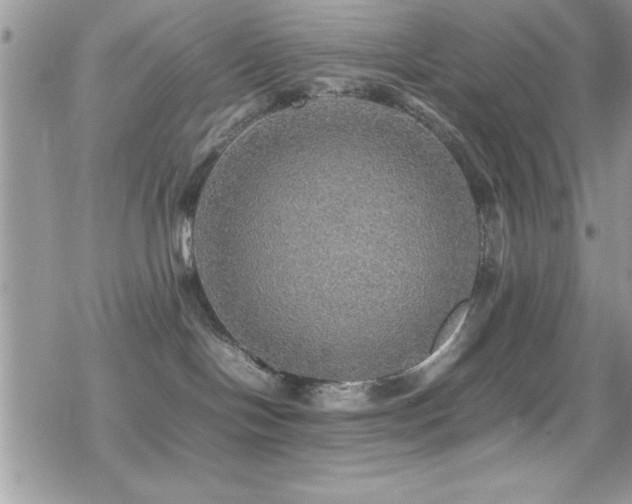 X0000070410094200606091202