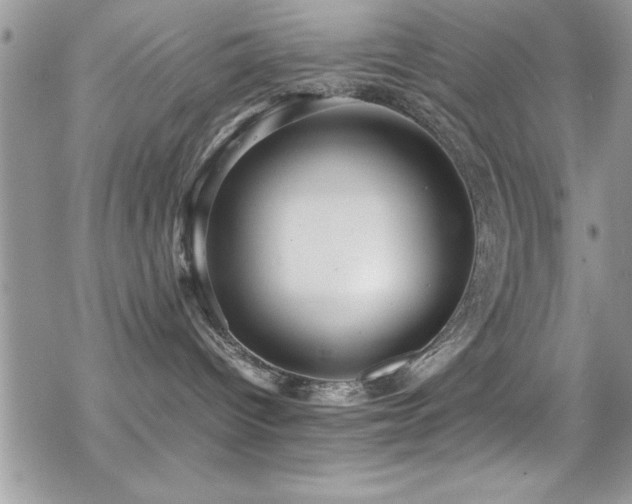 X0000070410096200606091202