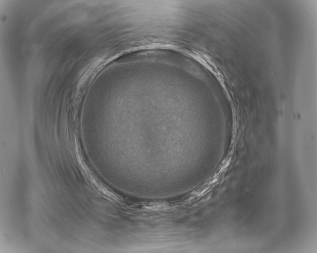 X0000070410097200606091201