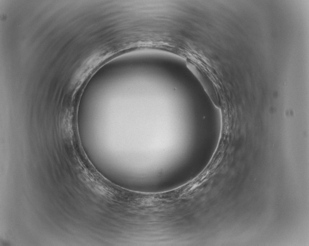 X0000070410098200606091201