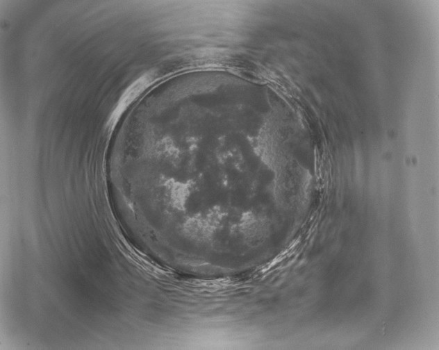 X0000070410099200606091201