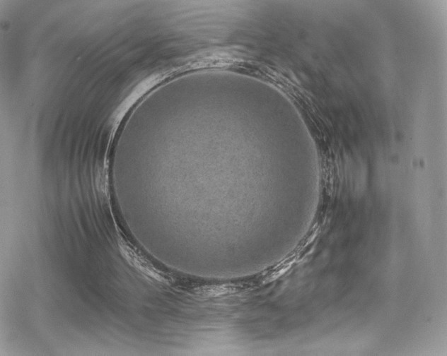 X0000070410100200606091201