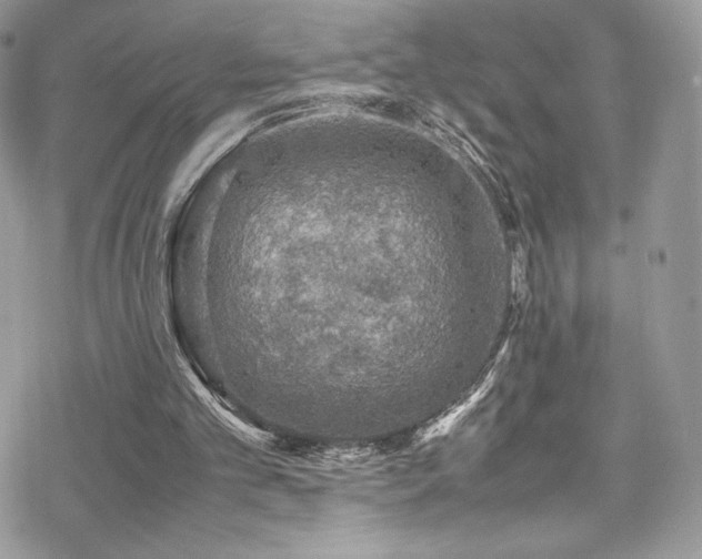 X0000070410101200606091201