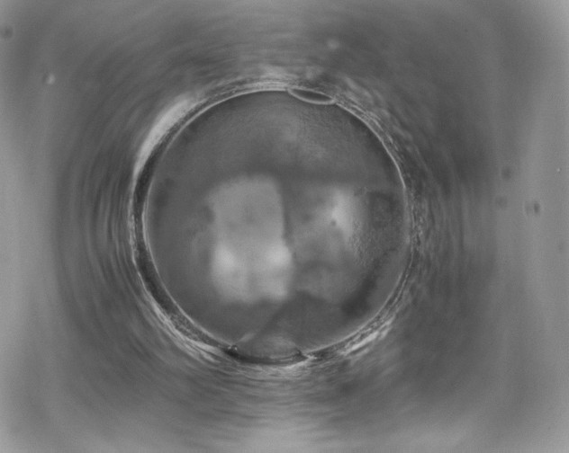 X0000070410102200606091201