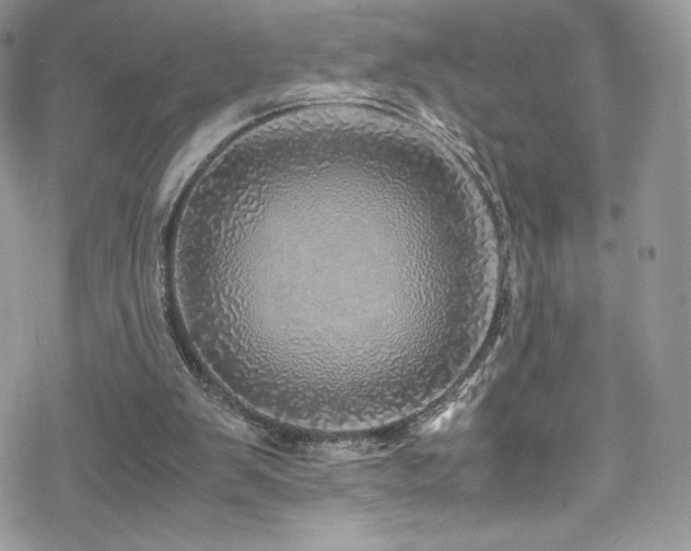 X0000070410103200606091201