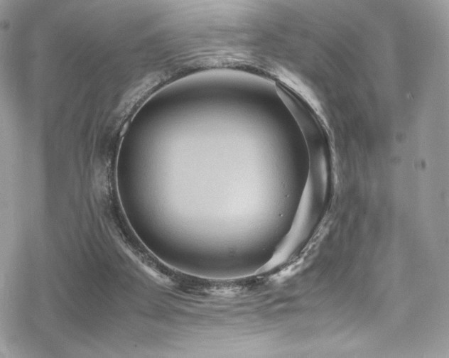 X0000070410105200606091201