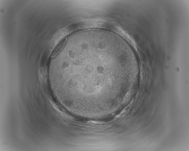 X0000070410107200606091201