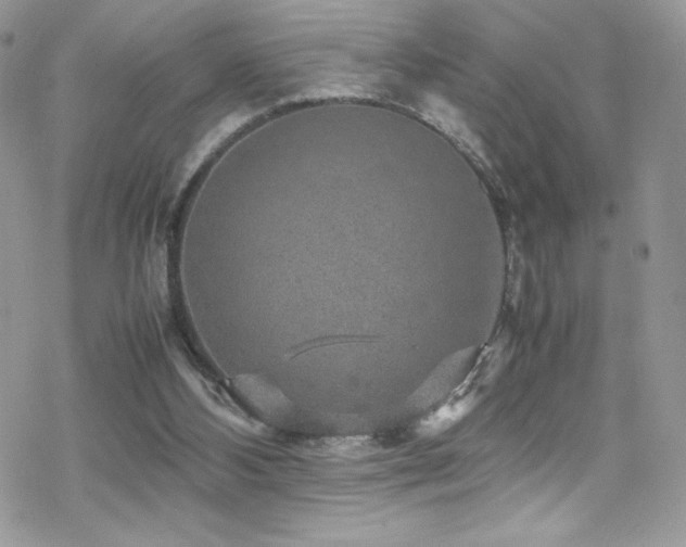 X0000070410108200606091201