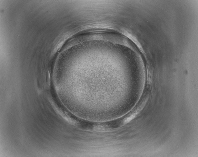 X0000070410109200606091201