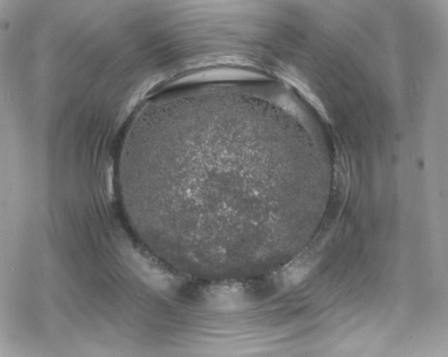 X0000070410110200606091201