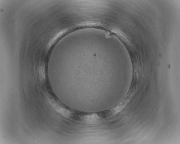 X0000070410112200606091201