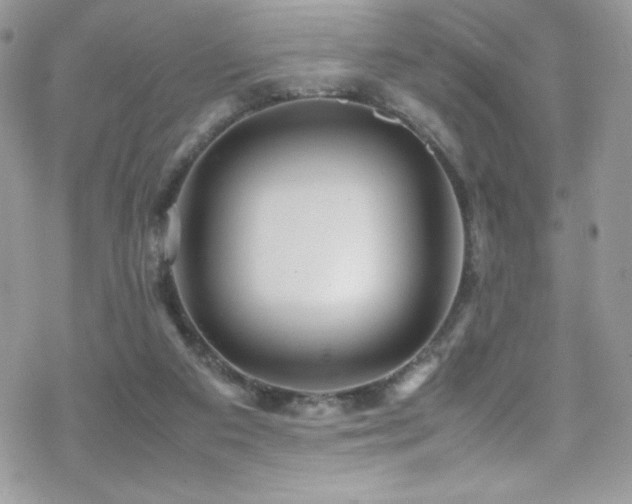 X0000070410113200606091201