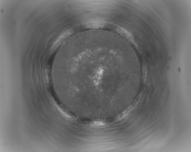 X0000070410114200606091201