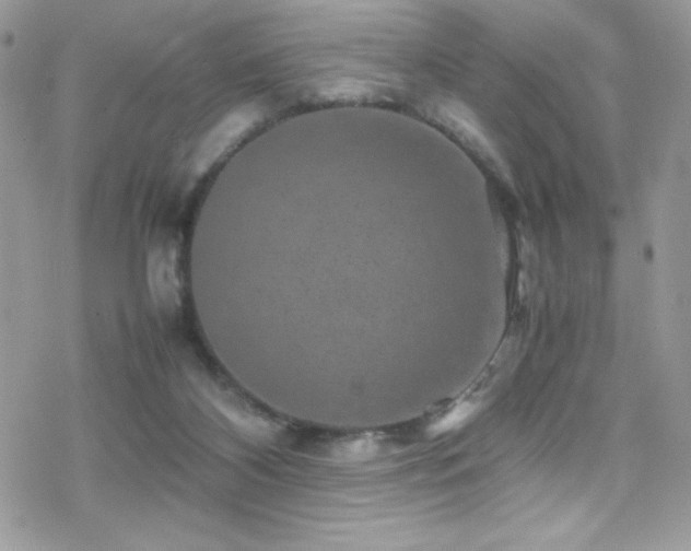 X0000070410116200606091201