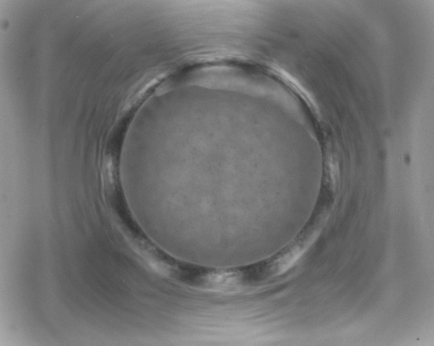 X0000070410117200606091201