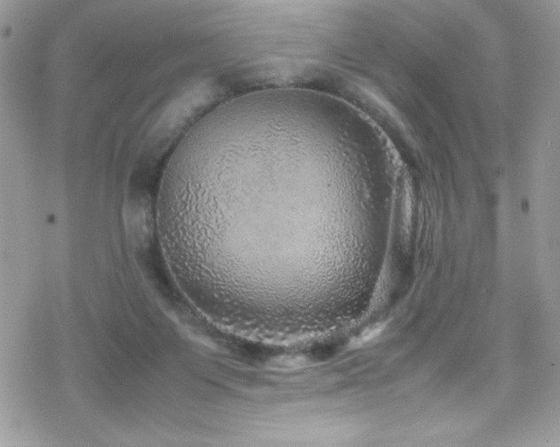 X0000070410119200606091201