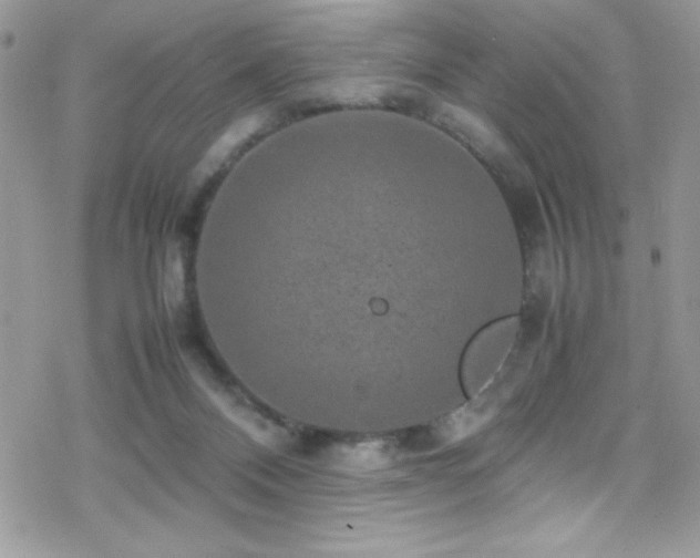 X0000070410120200606091201