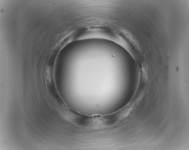 X0000070410121200606091201