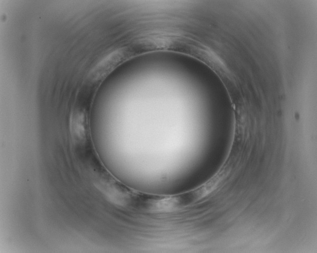 X0000070410122200606091201