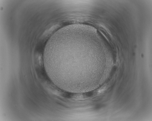 X0000070410123200606091201