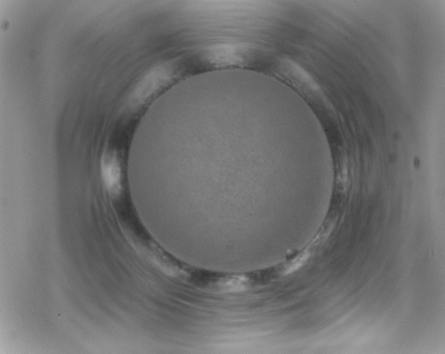 X0000070410124200606091201