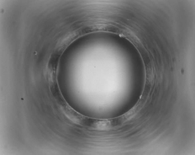 X0000070410126200606091201