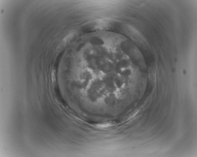 X0000070410127200606091201