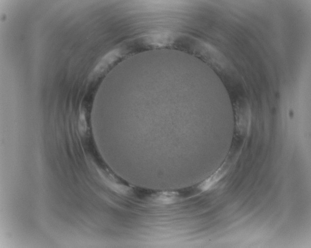 X0000070410128200606091201