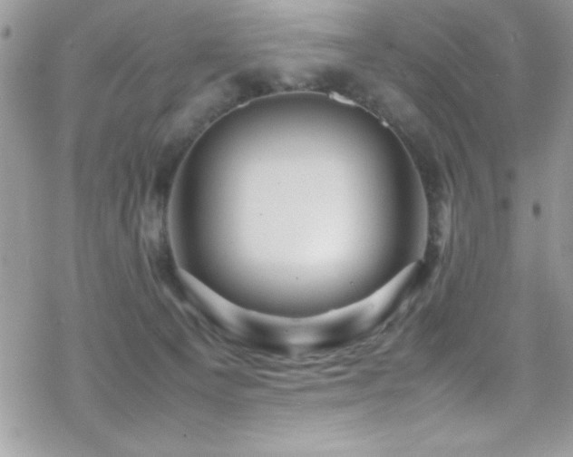 X0000070410129200606091201