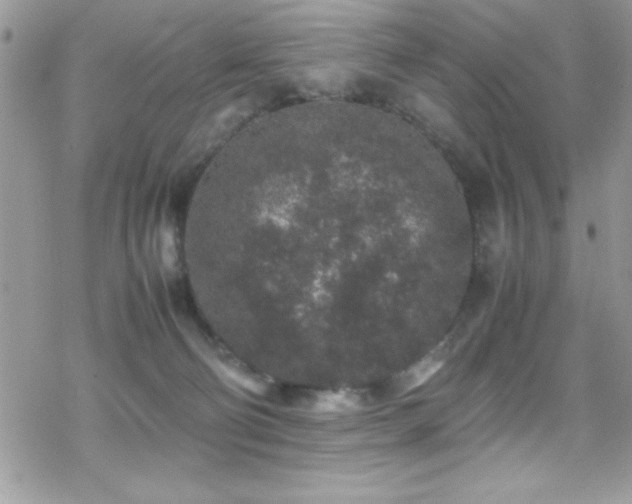 X0000070410130200606091201