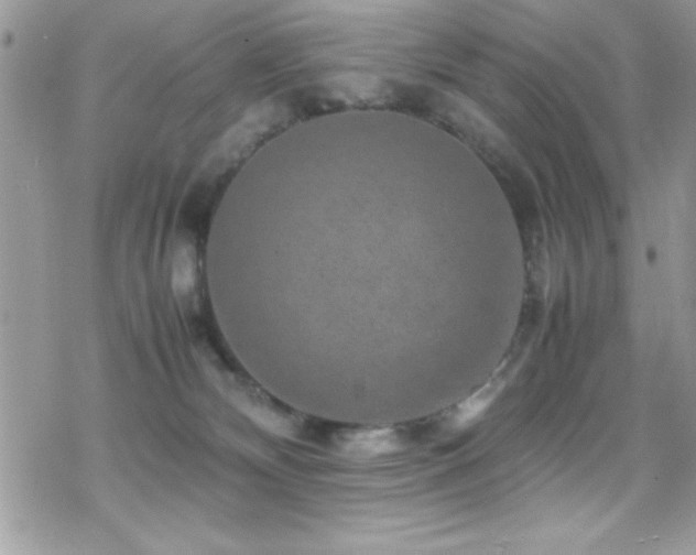 X0000070410132200606091201