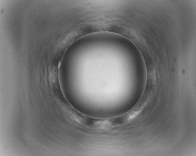 X0000070410133200606091201