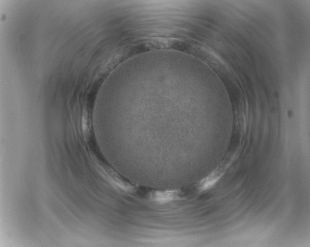 X0000070410134200606091201