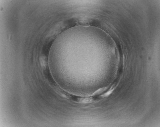 X0000070410135200606091201