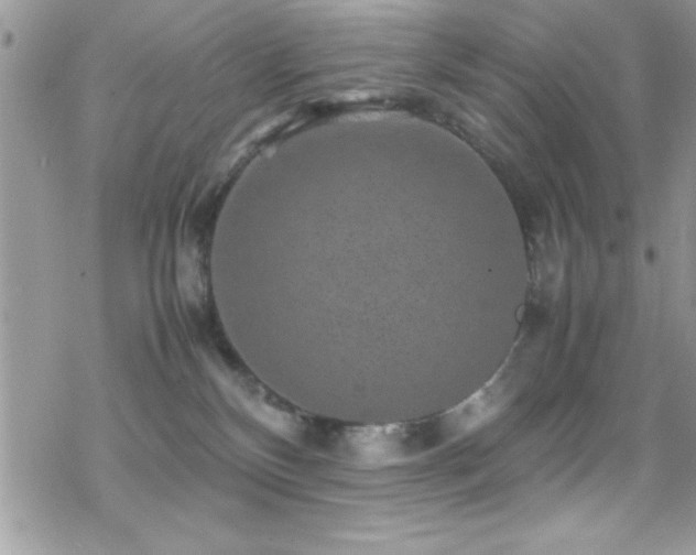 X0000070410136200606091201