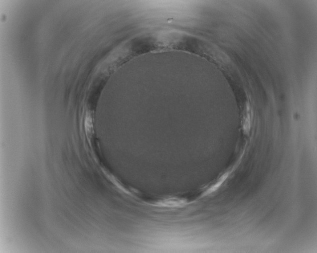 X0000070410137200606091201