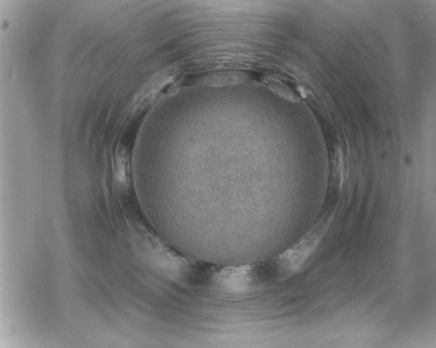 X0000070410138200606091201