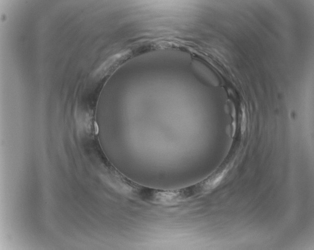 X0000070410139200606091201