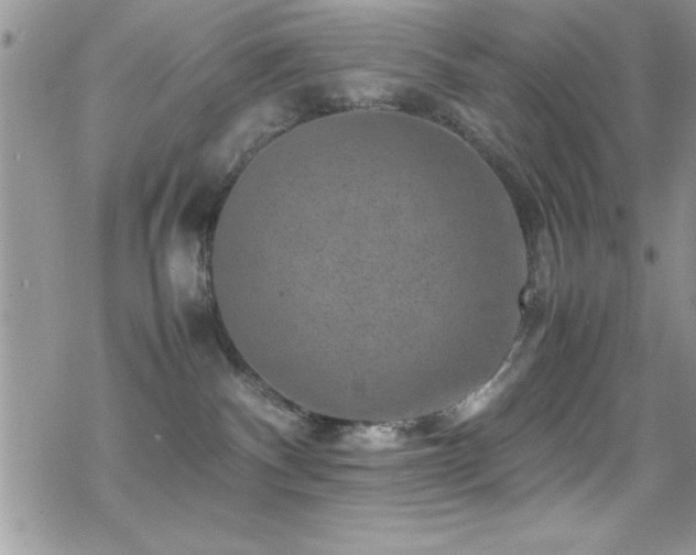 X0000070410140200606091201