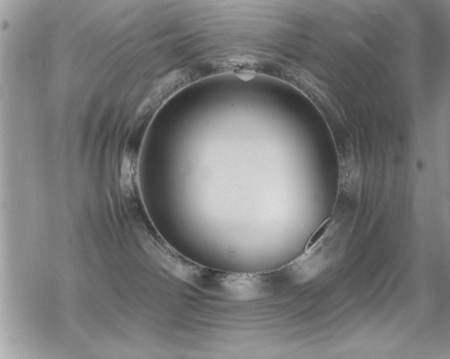 X0000070410142200606091201