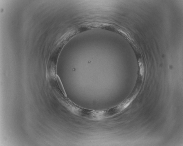 X0000070410143200606091201