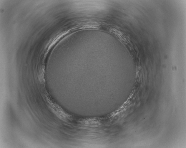 X0000070410146200606091200