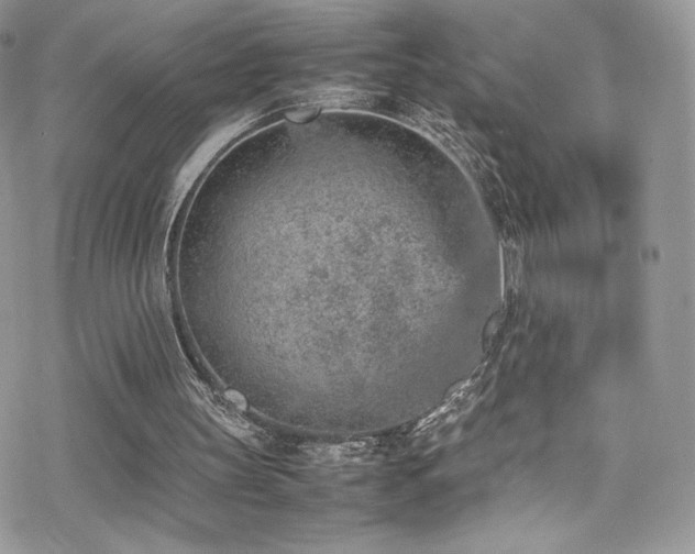 X0000070410147200606091200