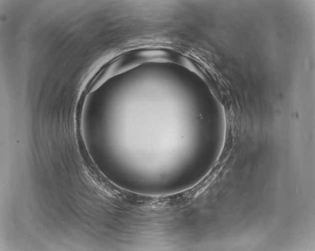 X0000070410148200606091200