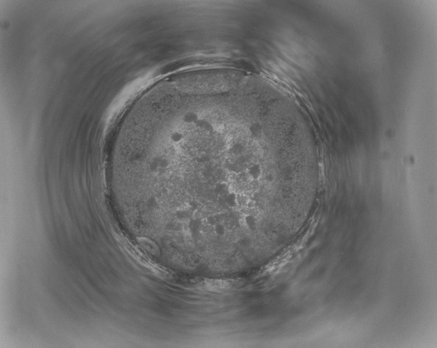 X0000070410149200606091200