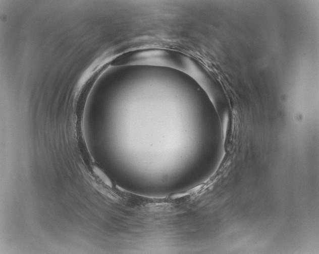 X0000070410150200606091200