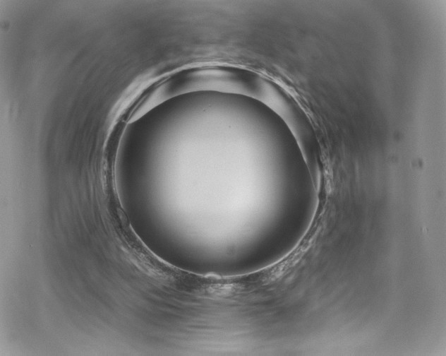 X0000070410152200606091200