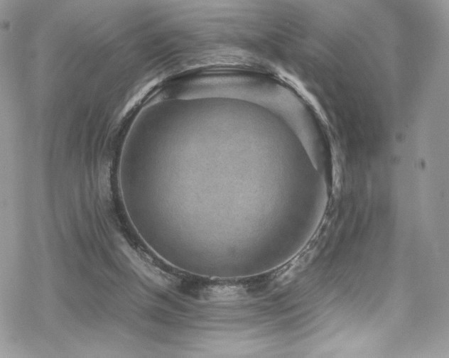 X0000070410154200606091200