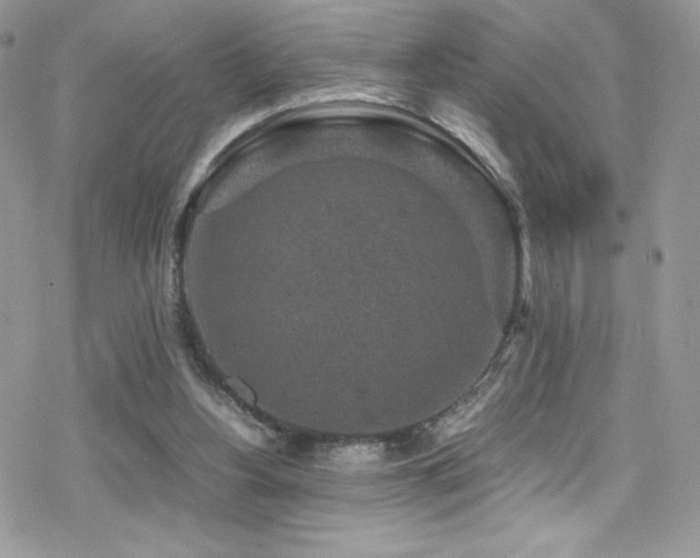 X0000070410156200606091200